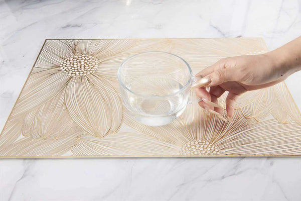 PVC Table Placemats